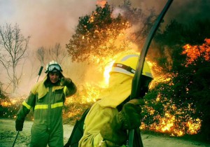 BRIF-Brigaden bei der Waldbrandbekämpfung BRIF-Streik: nach mehr als 100 Tagen ist ein Ende in Sicht. Die Waldbrandbekämpfer sollen mehr Lohn und eine aufgewertete Berufsbezeichnung erhalten. Foto: BRIF