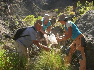 So ist es richtig: Die Asociación Abeque aus Teneriffa