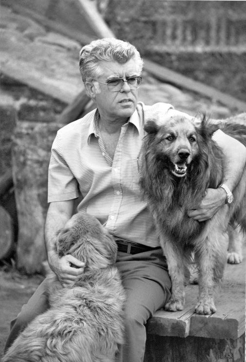 Pastor Garafiano Ein Hund von der Kanareninsel La Palma.