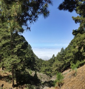 Isla Bonita: Auch eine Mitarbeiterin des Bayrischen Fernsehens hat La Palma entdeckt. Foto: Michael Kreikenbom