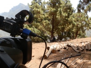 Acht neue Videos über den DOP-Queso de La Palma: auch vom Leben auf den Granjas. Foto: DOP-Kontrollrat