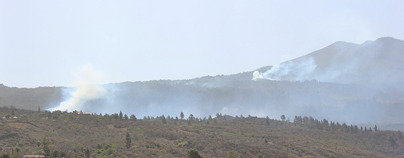 Feuer La Palma am Freitag gegen 11 Uhr Waldbrand La Palma, Nordfront auf der Westseite am Freitag gegen 11 Uhr: immer wieder steigt starker Rauch an verschiedenen Brandherden auf. Foto: La Palma 24