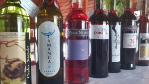 Die Winzer der Gemeinde Garafía keltern hervorragende Vinos: jetzt gibt es einen Fotowettbewerb zum Thema Weinlese. Foto: Garafía
