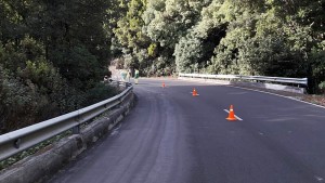 Achtung Inselgäste: Besonders im Herbst muss man in den oberen Bereichen der LP-3 sehr vorsichtig fahren! Unverhofft kann die Fahrbahn nass und rutschig sein oder Nebel zieht auf. Foto: Cabildo