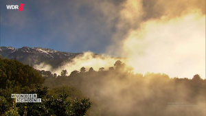Nur noch heute im Internet zu sehen: WDR-Doku Zauberinsel La Palma. Foto: Screenshot aus Film