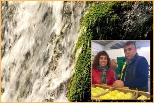 Wasser wird auf La Palma nach jahrelangen trockenen Wintern immer mehr zum Thema:
