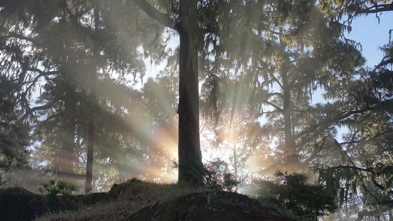 Und immer wieder geht die Sonne auf: Das La Palma 24-Journal wird zum Jahreswechsel übersichtlicher.