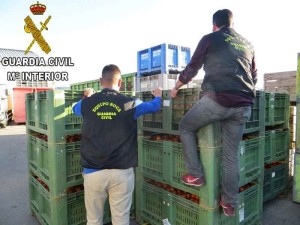Spezialisten gegen den Klau von Obst und Gemüse: Guardia Civil richtet Spezial-Patrouille auf La Palma ein. Foto: Guardia Civil