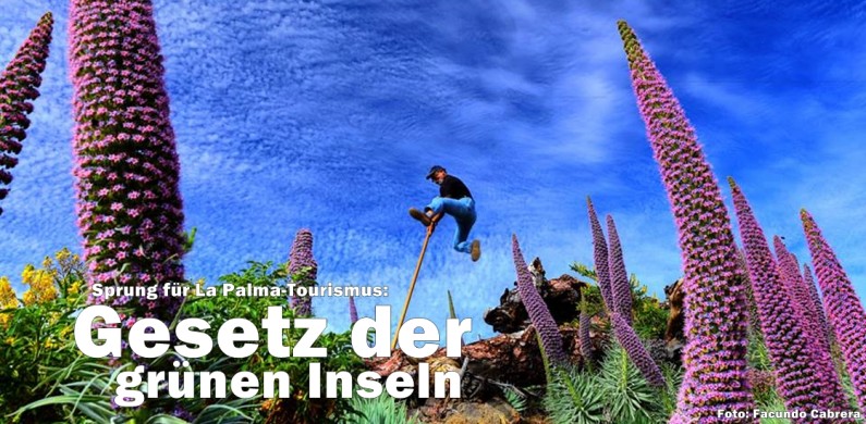 salto-del-pastor-facundo-cabrera-foto-1120-titel