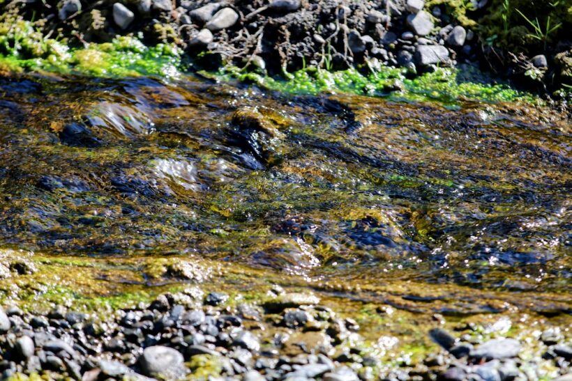 +++ Kanarische Inseln gründen Rat für Produktivität zur Ankurbelung der Wirtschaft +++ Rum von Destilerías Aldea bei den renommierten IWSC-Preisen ausgezeichnet +++ La Palma beherbergt XV. Treffen der Vereinigung für Astronomieunterricht +++ Cabildo investiert 728.000 Euro in die Abwasser- und Regenwasserableitung +++