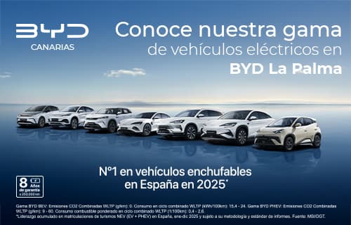 BYD La Palma