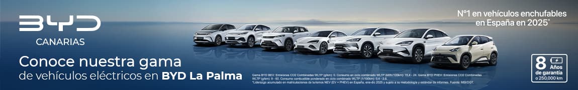 BYD La Palma