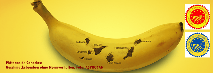 Platanos-Canarias-Titel