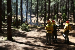 Die Umweltengel von La Palma: Brandvorbeugung und Einsatz bei Feuern gehört zu ihrem Job. Foto: Medio Ambiente