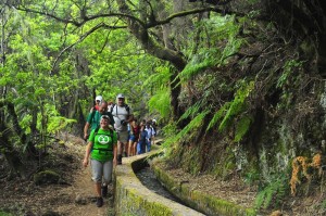 Senderos en La Palma: