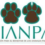 BIANPA-Logo-gross