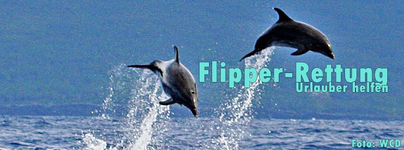 Flipper-WDC-Foto