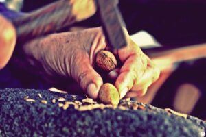 Tradition der Mandelverarbeitung in Punta Gorda: César García zeigt es in Bildern. Foto: Cesar-GR-Photography