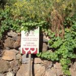 Weinandern auf La Palma: Wege mit Bodegas rund um die Insel.