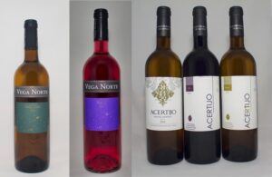 Vega-Norte-Schätzchen: entwickeln sich zu Abräumern auf allen Weinmessen. 