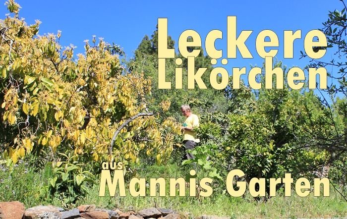 Manfred-Heinrichs-Likoere-La-Palma-24-Foto