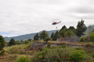 Feuer war schnell unter Kontrolle: zwei GES-Helis im Einsatz. Foto: Cabildo