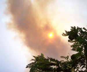 Die erste Rauchfahne von Todoque aus gesehen beim Brand in El Paso 2012: Zum Sommeranfang 2014 stehen die Feuerlöschkräfte bereit, Foto: La Palma 24