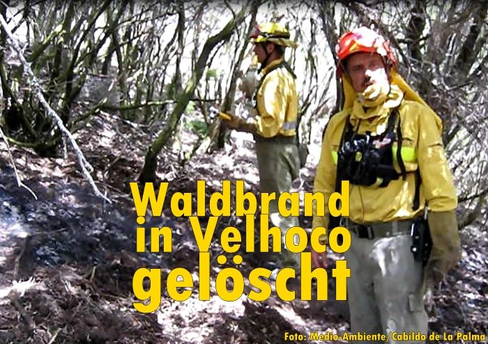 Waldbrand-Titel