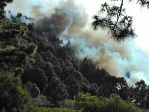 Brand in El Paso: war zum Glück schnell unter Kontrolle. Foto: BRIF/Aviles