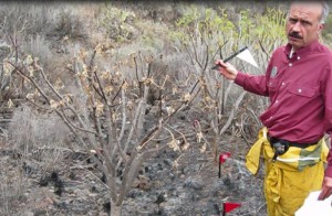 Francisco vom Medio Ambiente in El Paso: Auf der Spur der Brandursache und des Brandherdes. Foto: Medio Ambiente