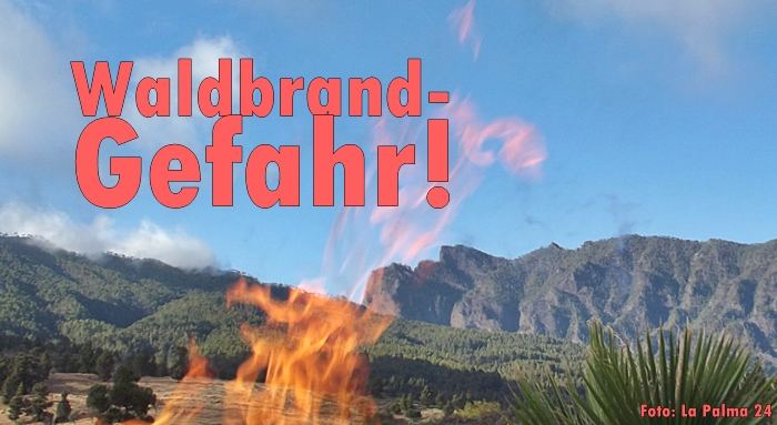 Waldbrand-Titel-LP24