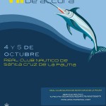 Blue-Marlin