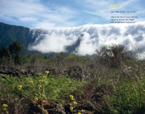 Ines Dietrich: Klassiker von La Palma wie hier die Cascada in Bezug zur Jahreszeit gesetzt.