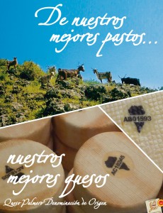 Original Ziegenkäse von La Palma: Präsentationen während der Käsewoche. Foto: DOP-Kontrollrat