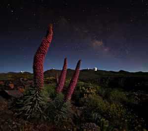 Medaille für La Palma: aktive vor allem im Sternentourismus. Foto: Giovanni Tessicini