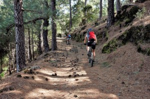 Mountain-Biken auf La Palma: einer der Schwerpunkte der neuen Werbekampagne in Deutschland. Foto: Redaktion