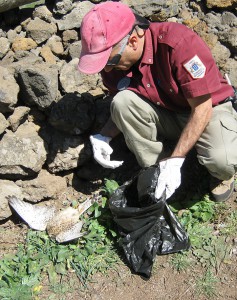 Traurig aber wahr: Mitarbeiter des Umwelamtes von La Palma finden immer wieder vergiftete Vögel. Foto: Medioambiente La Palma