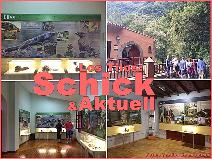 Los-Tilos-Titel