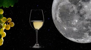 Vino & Luna: Astroführung bei Teneguía. Foto: