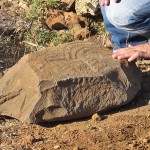 Petroglyphen: neue Funde in El Paso. Foto:Cabildo