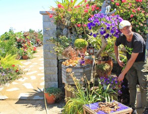 Heiko Bartsch: züchtet in seinem Garten in Mazo viele Stecklinge selbst, die in den Balkonen in Santa Cruz erblühen. Foto: La Palma 24