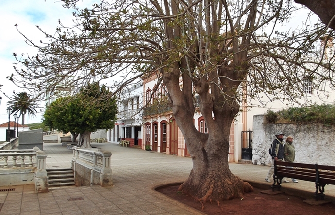 Der Laden von Antje ist leicht zu finden: direkt neben dem Café auf der Plaza in Santo Domingo. Foto: La Palma 24