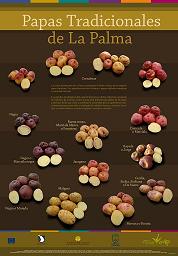 Kartoffeln aus La Palma: es gibt viele Sorten, und die Nachfrage steigt ständig.