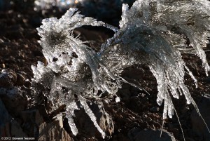 Eis und Schnee: gibt´s auch mal auf La Palma - aber nur im Winter in hohen Lagen.