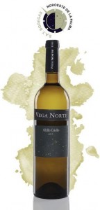 Vega Norte: Die Weine aus dem Nordwesten von La Palma sind die absoluten Medaillen-Könige unter den DO-Vinos von La Palma. Foto: SAT-Bodegas Noroeste La Palma