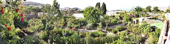 Katyflor-Gelände bei Los Llanos: Tolle Auswahl für Gartenfreunde. Foto: La Palma 24