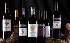 Vega Norte: Erfolgreiche Tropfen aus La Palmas Nordwesten jetzt auch außerhalb der Insel zu kaufen. Foto: SAT Bodegas Noroeste