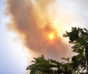 Rauchfahne beim Ausbruch des großen Waldbrandes 2012 auf La Palma: Schnellste Reaktionen in Situationen dieser Art strebt das mit Sensoren verbundene Telekommunikationssystem an, das die Inselregierung jetzt bei der Ausschreibung "Islas Inteligentes" eingereicht hat. Foto: La Palma 24