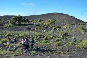 Kontra dem Rabo de Gato: Schüler aus Mazo jäten das für die heimische Fauna gefährliche Lampenputzergras auf den Vulkanhängen von Fuencaliente. Zwei weitere Aktionen sollen folgen. Foto: IES Mazo/Fuencaliente