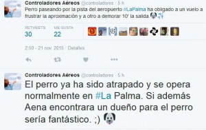 Controladores Aereos auf Twitter: Gezwitscher über einen Hund auf dem Flughafen von Santa Cruz de La Palma. 